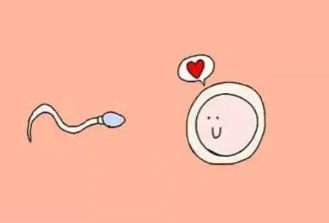 南京试管助孕公司：2023江苏省人民医院试管婴儿流程指南，一文读懂助孕成功率多少