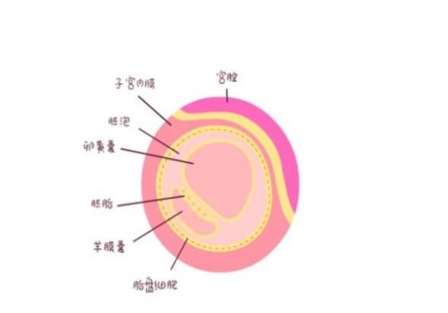 南京助孕公司：前壁下怀孕妇注意事项一览，附三种缓解不适的方法