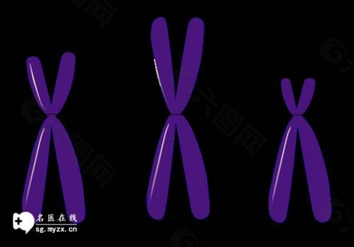 南京试管婴儿价格：2023香港做供卵试管成功率有多少，附单周期费用明细