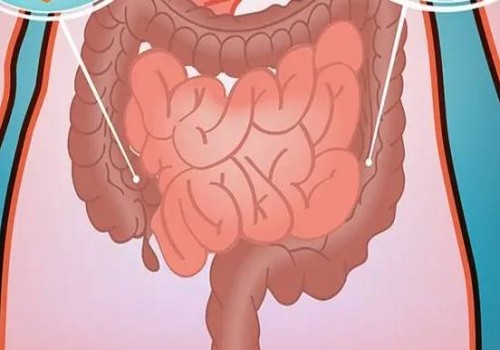 南京三代试管助孕中心：帮助女性怀双胞胎的饮食疗法，吃什么一文全了解