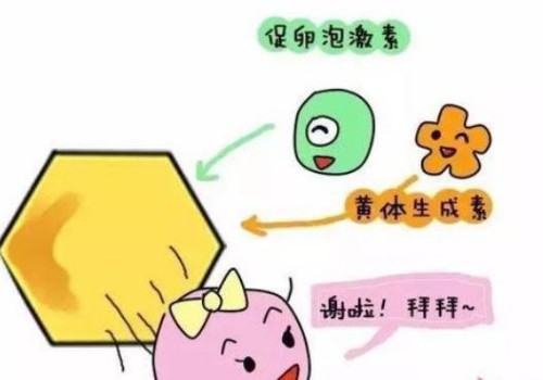 南京助孕中心：试管婴儿，一种能够改变生命的科学技术