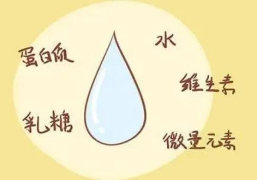 怀孕期间脉搏跳动有什么改变？用这些方法检验怀孕才靠谱