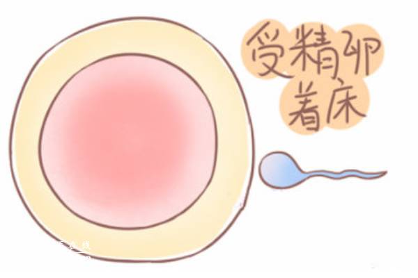 南京助孕机构：试管婴儿取卵疼不疼？怕疼可以试试这些方法来缓解！_1