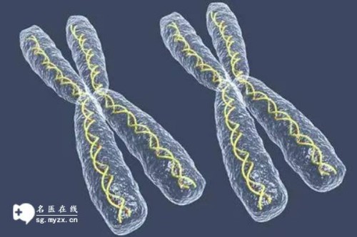 南京助孕中心：香港试管婴儿费用多少钱,做试管婴儿的流程是怎么样的