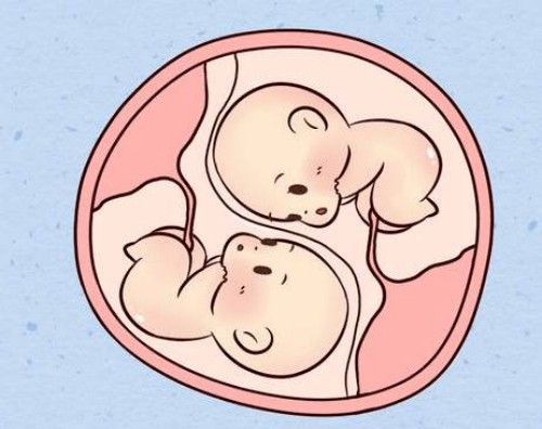 孕妈妈没有出现呕吐现象说明胚胎发育的不好吗？
