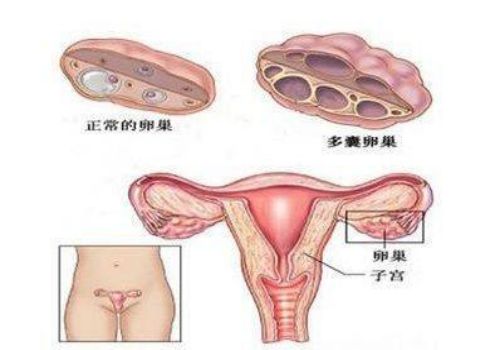 南京正规助孕机构：特殊时期的肚子疼有可能是怀孕了，你知道吗？