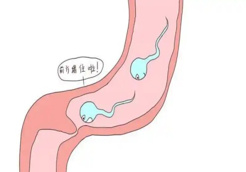 南京三代试管助孕：孕期没必要购买胎心仪,孕妈别再交智商税啦