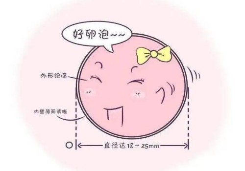 南京助孕生子：免疫八项检查报告单详解，轻松看懂检查结果