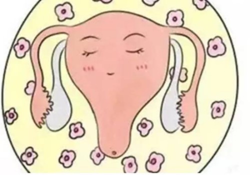南京助孕生子：怀龙凤胎最直接的方式是试管，但这两种方法没准也能怀上