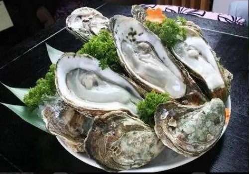 南京供精试管：如何进行婴儿大脑发育迟缓的检查？有哪些治疗方法？