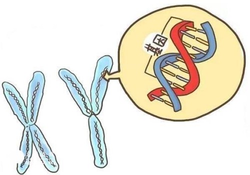 南京助孕公司：浅说移植后抑制宫缩的方法，卧床休息、药物治疗均在其中